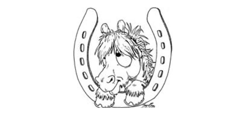 Selbu hestesportslag logo